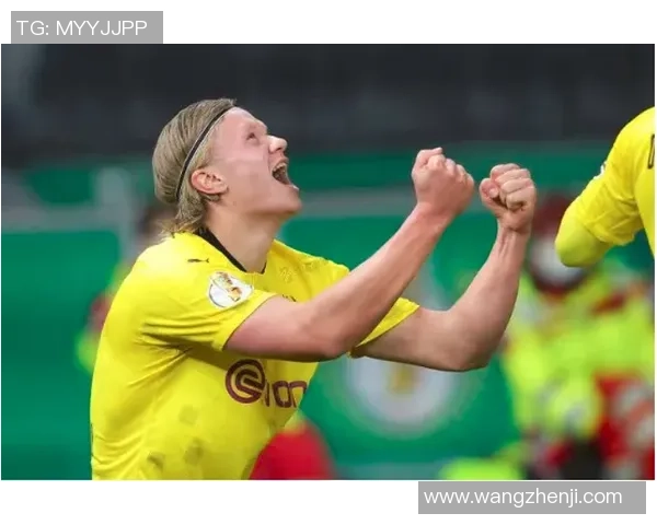 帕帕尼足球星卡市场价格分析及收藏价值评估