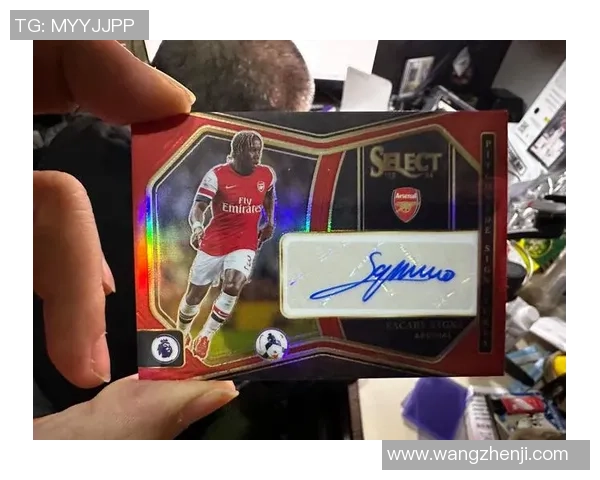 帕尼尼足球罗本球星卡收藏价值分析与市场趋势探讨