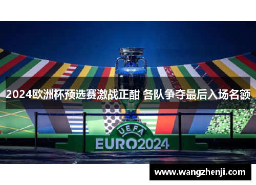 2024欧洲杯预选赛激战正酣 各队争夺最后入场名额